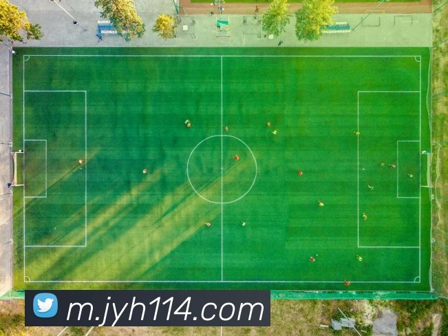 九游会j9APP 封面图